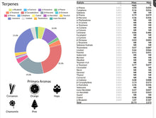 Load image into Gallery viewer, Dyerfire Industries Gelato 33